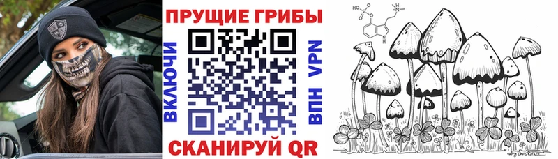 хочу   Дудинка  площадка Telegram  Галлюциногенные грибы ЛСД 